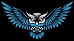 owl-web-design-lismore owl-web-design-lismore